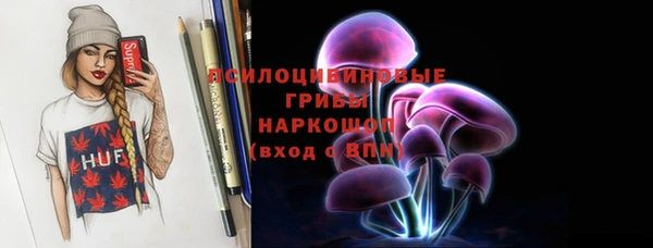 бошки Дмитров
