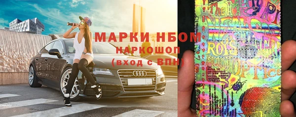 бошки Дмитров